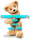 Cyber Teddy Top 500